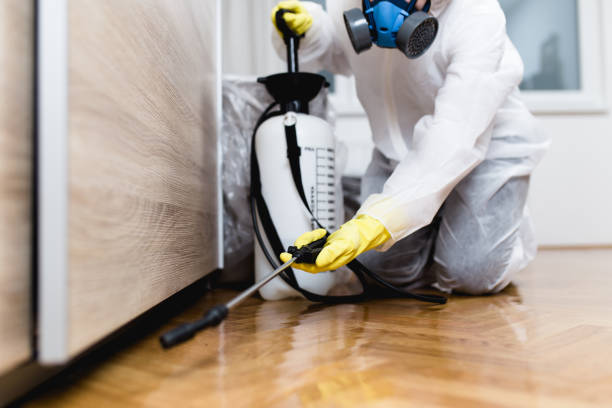 Best Cockroach Control Services  in Fort Dick, CA