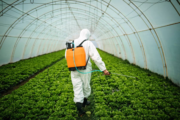 Best Affordable Pest Control Services  in Fort Dick, CA