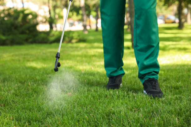Best Pest Prevention Services  in Fort Dick, CA