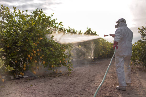 Best Affordable Pest Control Services  in Fort Dick, CA