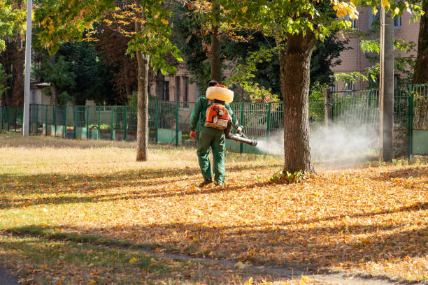 Trusted Fort Dick, CA Pest Control Experts