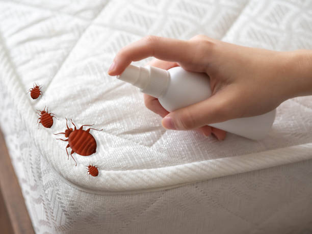 Best Pest Removal Services  in Fort Dick, CA