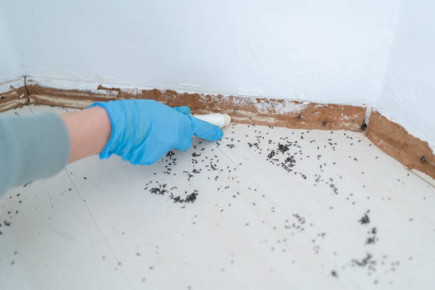 Best Commercial Pest Control Services  in Fort Dick, CA