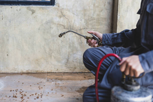 Best Pest Control Near Me  in Fort Dick, CA
