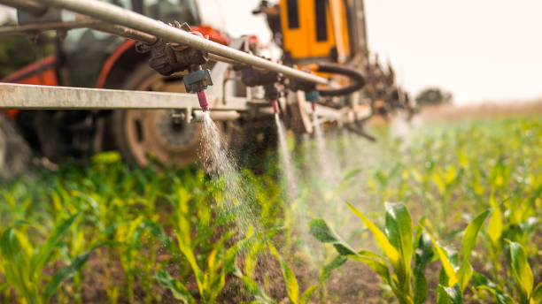 Pest Control Cost in Fort Dick, CA